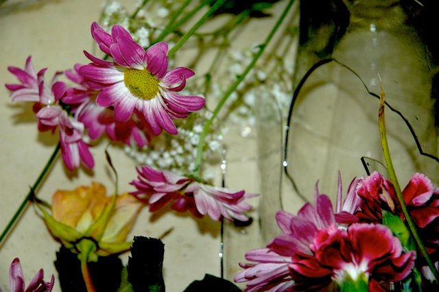 Mother's Day Flowers