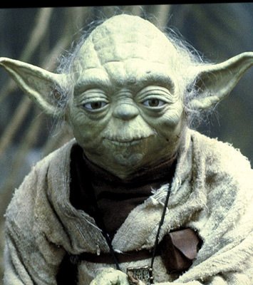 Everyone needs their own Yoda . . .